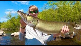 Wisconsin River Musky Fishing May 2023 - Shore Fishing Southern Opener