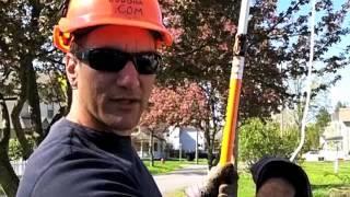 Learn to Prune a Crabapple with the Tree Buddha-001