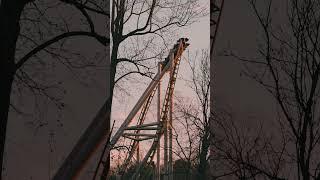 Pantheon at Busch Gardens Williamsburg #rollercoaster #amusementpark