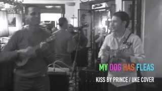 KISS by Prince - Uke Cover