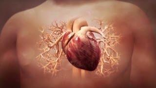 Can heart attack damage be reversed?