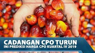 CADANGAN CPO TURUN INI PREDIKSI HARGA CPO KUARTAL IV 2019