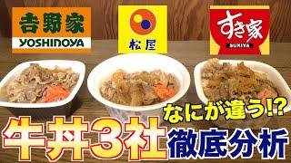 Thorough analysis What is the difference between the three famous beef bowls ?