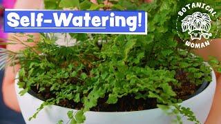 Which Plants LOVE Self-Watering Pots?