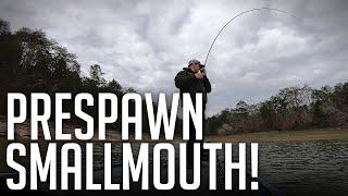Alabama Rig Bass Fishing For BIG Pre-Spawn Smallmouth