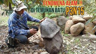 VIRAL  FENOMENA BATU PENIS BERUSIA RIBUAN TAHUN DI MOJOKERTO