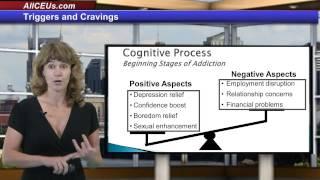 Triggers and Cravings Counseling CEUs for LPC LMHC LCSW Addictions and Substance Abuse Counselors