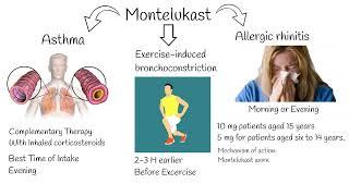 Montelukast - Indications side effects. Singular indications.