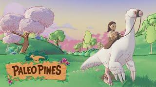 Paleo Pines - Beginners Tips Tricks and Guide