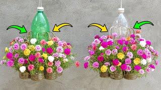 DIY Beautiful self-watering Portulaca Mossrose Flower Garden Hanging Flower Pots