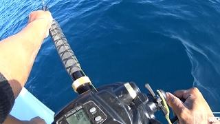 Daiwa Tanacom Electric Reel vs Huge Tiger Shark