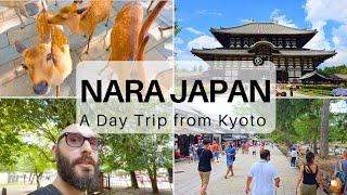 How to Take a Day Trip to Nara from Kyoto Japan #7