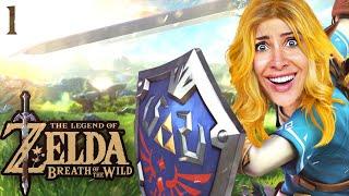 Eine lange Reise beginnt Zelda Breath of the Wild Part 1