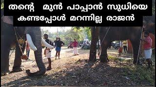 PAMBADY RAJAN l മുൻ പാപ്പാൻ സുധിയെ കണ്ടപ്പോൾ മറന്നില്ല രാജൻ