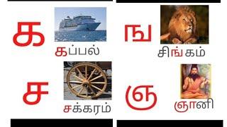 தமிழ் உயிர் மெய் எழுத்துக்கள் க ங ச ஞ ட ண த ந ப ம ய ர ல வ ழ ள ற ன Tamil uyirmei Eluthukkal for kids