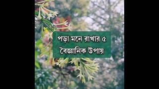 পড়া মনে রাখার ৫ বৈজ্ঞানিক উপায়