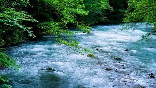 The Mountain River Flowing Sound. Blue Water Nature Sounds Forest River White Noise for Sleeping.