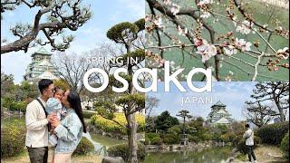 3 DAYS IN OSAKA  spring holiday with our toddler