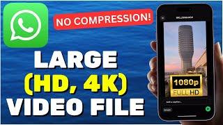 How To Send Large Video File Through WhatsApp iOS & Android