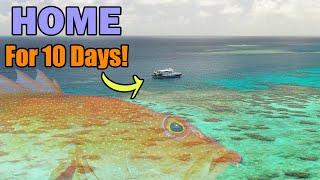 A fishermans PLAYGROUND 10 day reef adventure