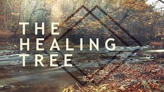 The Healing Tree  Jentezen Franklin