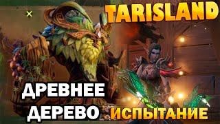 Древнее дерево - испытание I Ancient tree - challenge mode I TARISLAND I Тарисленд I гайд за ДД