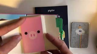 Pigzbe Unboxing