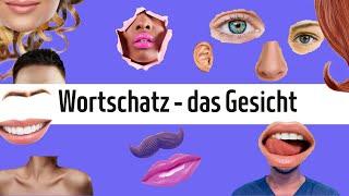 Deutsch lernen - Wortschatz das Gesicht