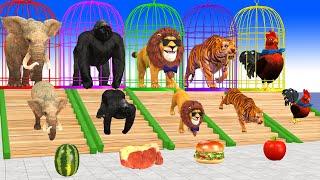 Paint Animals ElephantLionGorillaTigerChicken Fountain Crossing Transformation Animals Cartoon 2