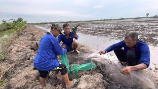 Kéo chày dưới cái nắng gay gắt ông cháu trúng đậm bầy cá phi và cá lao kiến TPĐ#75