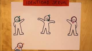 diferencia entre identidad de género orientación sexual y sexo biológico