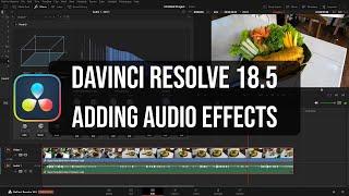 DaVinci Resolve 18.5  Adding Audio Effects