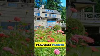 The World’s Deadliest Plants You Didn’t Know About 