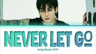 Jung Kook 정국 Never Let Go Lyrics