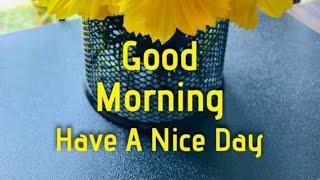 Good morning wishesGood morning video statusGood morning images.subscribe@smiling thulasi