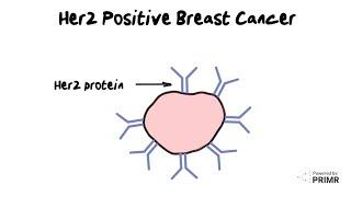 HER2-positive Breast Cancer