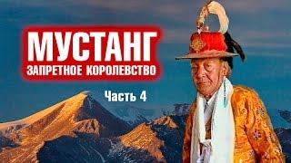 Знакомство с королем - МУСТАНГ Запретное Королевство #4