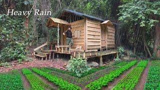 200 Day of BushwalkingBuilding Off-Grid CabinGrowing Vegetables for SaleDoing hydroelectric power