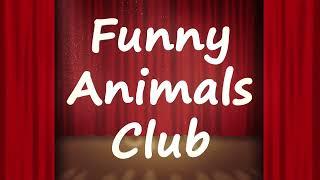 Funny animals club