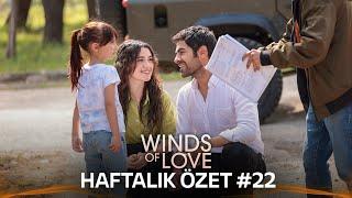 Winds of Love Weekly Summary #22  Rüzgarlı Tepe Haftalık Kolaj #22