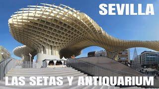 LAS SETAS DE SEVILLA Y EL ANTIQUARIUM