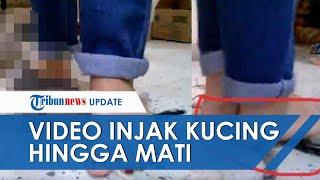 VIRAL Video Remaja Injak Anak Kucing sampai Mati Ikat Leher agar Tidak Bisa Kabur