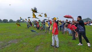 Free Fly Parrot Gathering Event - Fly di Airport Lama Sitiawan Manjung Perak