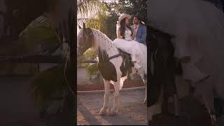 Couple horse ride Beautiful girl horse ride couple kiss on horse #horse #horses #horse lover #ghoda