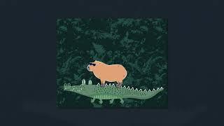 Capybara - Capybara TikTok Song