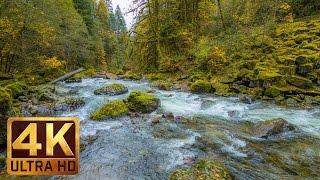 Beautiful Nature Video in 4K Ultra HD - Autumn River Sounds - 5 Hours Long