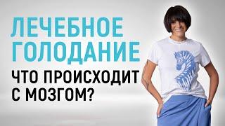 Что происходит с мозгом во время 7-дневного лечебного голодания?