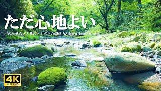 ただ心地よい水の音 新緑の森に響く鳥のさえずり自立神経を整える、リラクゼーションにご活用ください【ASMR 4K】