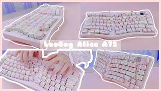 4K Unboxing Leobog Alice A75 Kawaii Meow Keyboard x WhatGeek  Barbie Switches  Pre-Lubed 