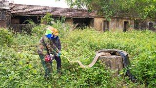 SHOCKED to clean up an old dilapidated house with overgrown grass and potentially many dangers